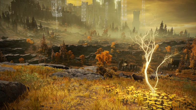 Sheep graze beside a shining sapling, on a hill overlooking a misty, golden plateau. An army is camped at the foot of the hill, and in the distance, grand statuary leads towards the Capital, while spectral banners loom overhead.