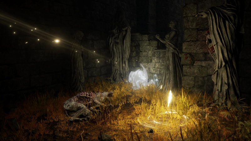 A dark corner of the castle, surrounded by blood-spattered statues in various poses, lit by the light of grace. The corpse of an emaciated dog lies in the yellowed grass, and a spirit - shining white - is on their knees, weeping against the wall.