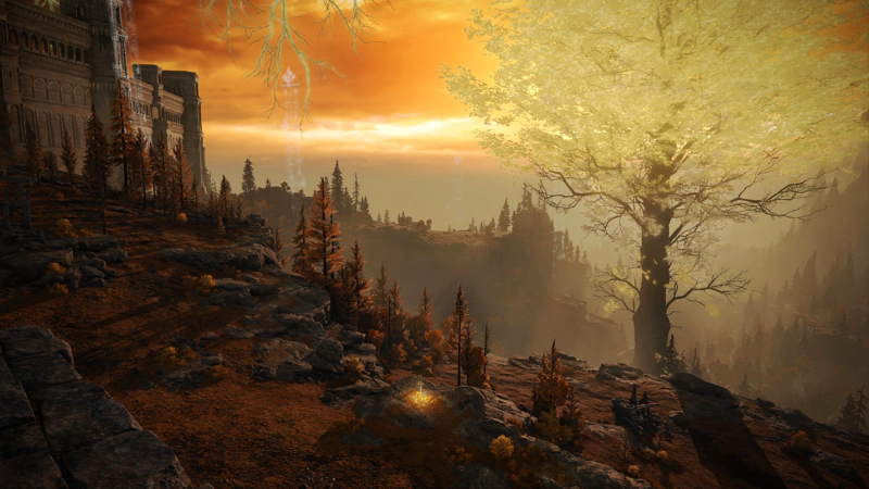 A glorious sunset overlooking a minor Erdtree. Pine trees along the ridgeline cast long shadows across the red-brown grass. The sky is radiant with shades of orange light, and below the cliffs, the plateau descends into mist-soaked forests.