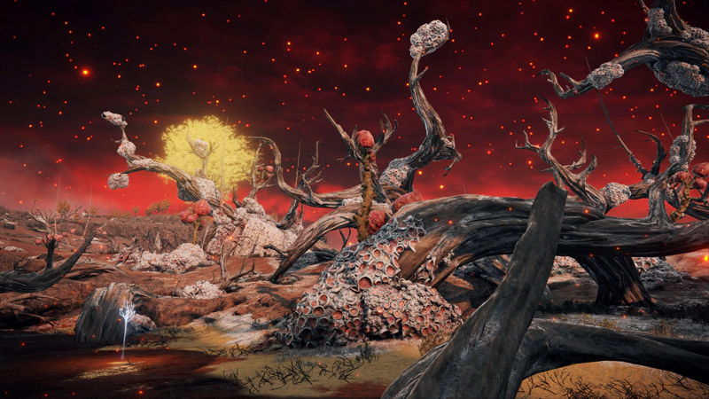 The shores of a crimson swamp, where twisted tree-trunks criss-cross the dark-red sky. Pale coral-like lesions climb the tree-bark, and weird growths burst from the wood.