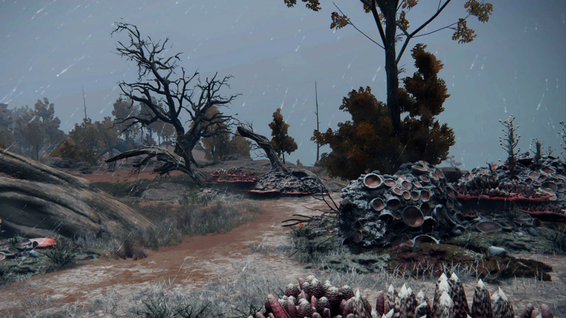 A winding grey-pink path between ragged trees and coral-like rocks. Rain falls from a grey sky.