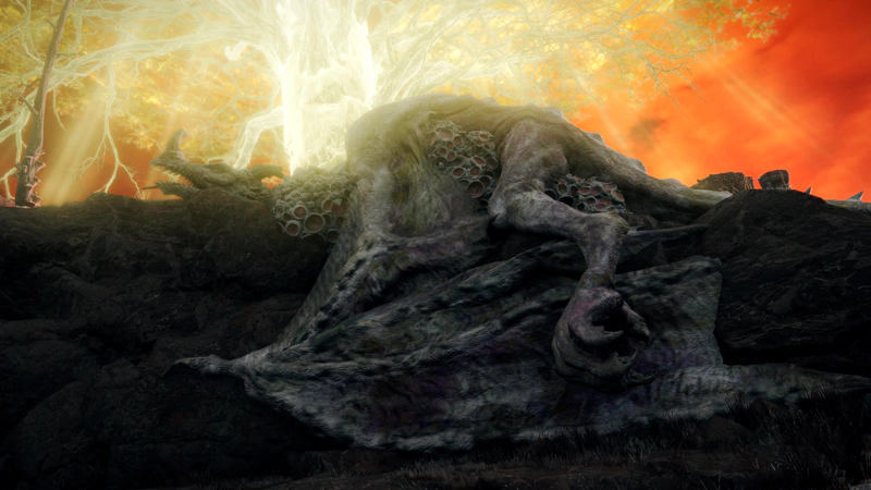 A long-dead grey dragon, lying along a ridge between a grey cliff and the golden light of the Erdtree. Grey coral-like rocks are growing between the dragon's limbs, and one large wing drapes down across the cliff-face.