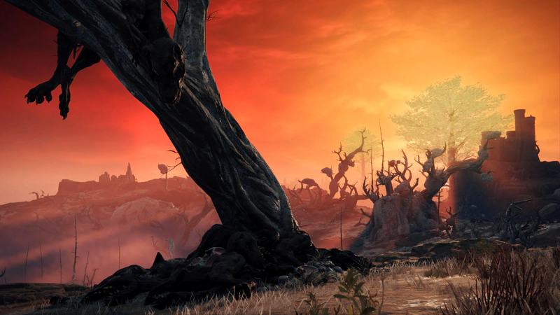 The setting sun shines across Caelid, bright god-rays sweeping across the swamp from behind a minor erdtree and a distant fort. A tree surrounded with monstrous dog corpses is silhouetted by the golden-pink light.