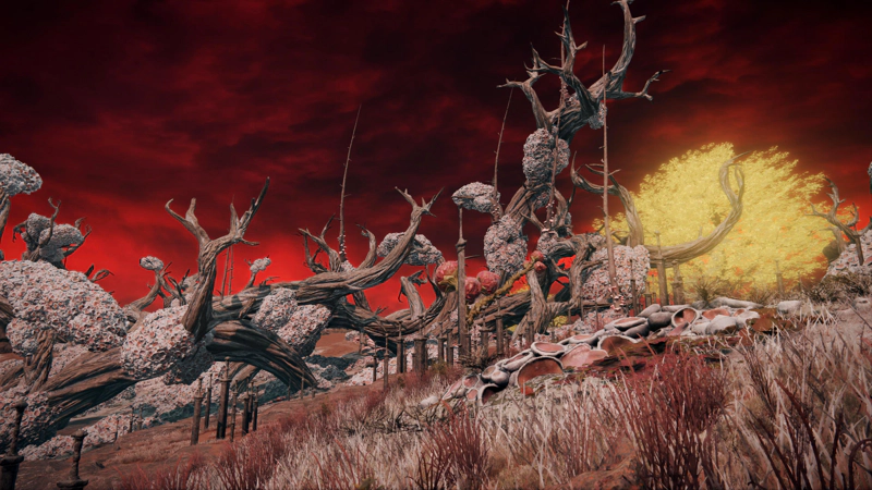 A graveyard of swords on a rot-infested slope. The memorials are clustered around a central sword, rising vertically amidst the corrupted trees, and the grass in the foreground is patchy grey and red. The top of a golden erdtree can be seen to the right, and the sky above is dark with crimson clouds.
