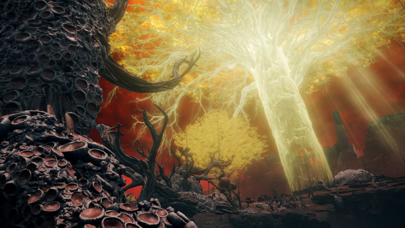 A close-up of a vast tree-trunk, bedevilled with corruption and washed with the glorious radiance of the Erdtree rising from the horizon.