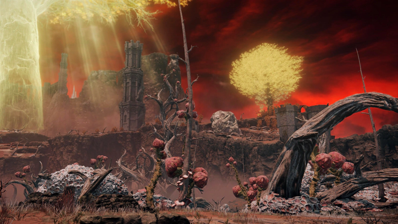 A view across the parched, rotted landscape, towards a tall stone tower, a rock that looks suspiciously like a giant skull, a distant minor erdtree, and a fortified gatehouse. In the foreground, an array of tortured flora struggles upwards.
