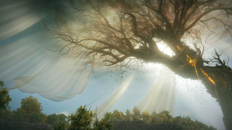 A daytime view of the twisted Scadutree, its branches crowned by diaphanous white veils stretching across the blue sky. A rent in the trunk weeps gold, and a slow rain of debris falls from its bark. Below, a clifftop forest shines green and gold in the morning sunshine.
