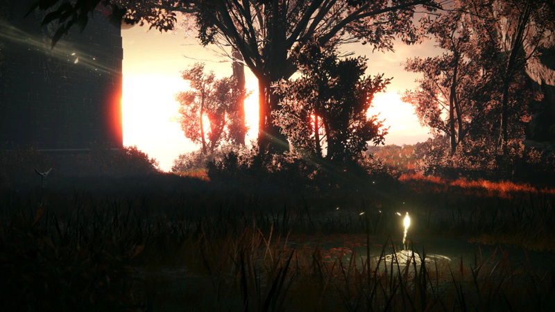 A shard of Grace sits amidst red-brown grasses in an evening glade of pink-red trees. The sun is setting in the sky beyond, casting the trees in brilliant orange light.