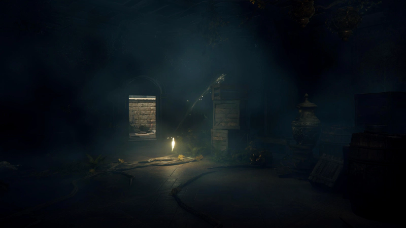 A dark storeroom, with stacked crates and thin tree roots crawling across the floor. Beyond, a rectangular doorway leads to a shaft of sunlight against a limestone wall.