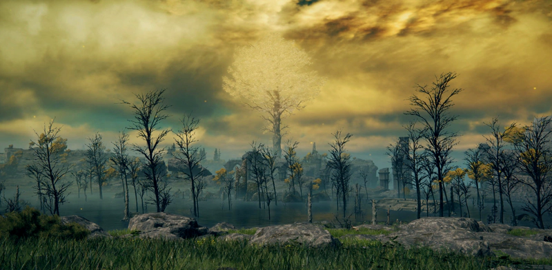 A swamp of blackened trees. In the distance, the gold of a minor Erdtree reaches up to a yellow/blue sky.