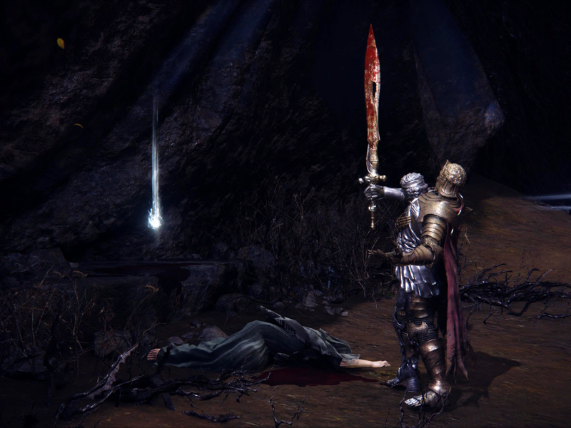 Fia's corpse lies upon the brown dirt in a pool of blood, toppled from her peaceful death. D's twin brother stands triumphant in D's gold-and-silver armour, his golden sword raised as Fia's blood trickles down its blade.