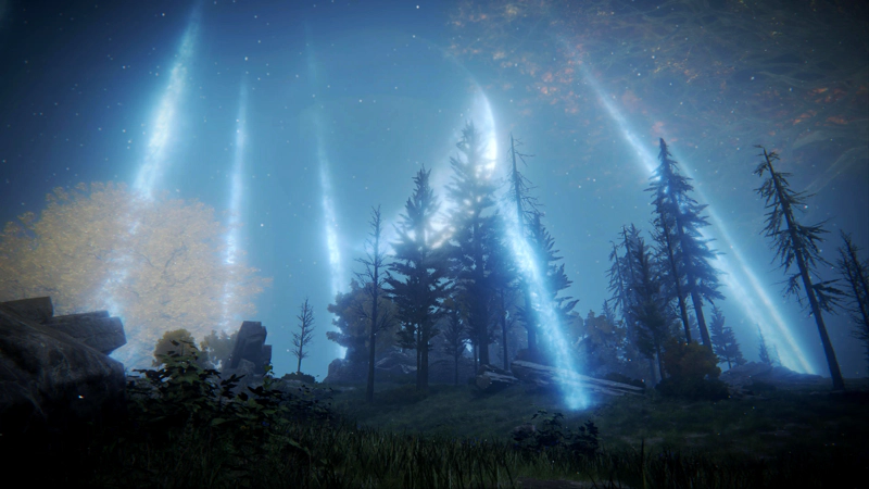 A high grassy plateau, beneath the flaming branches of the Erdtree. Tall pine trees stand dark against the blue sky, accompanied by streaks of blue starlight.