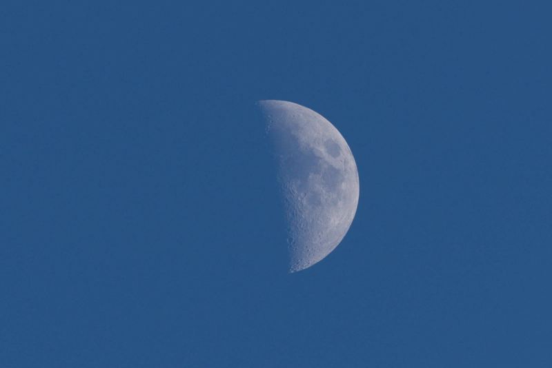 A daytime photo of the half-moon against a royal blue sky. The details of the moon still stand out clearly, from seas to craters.