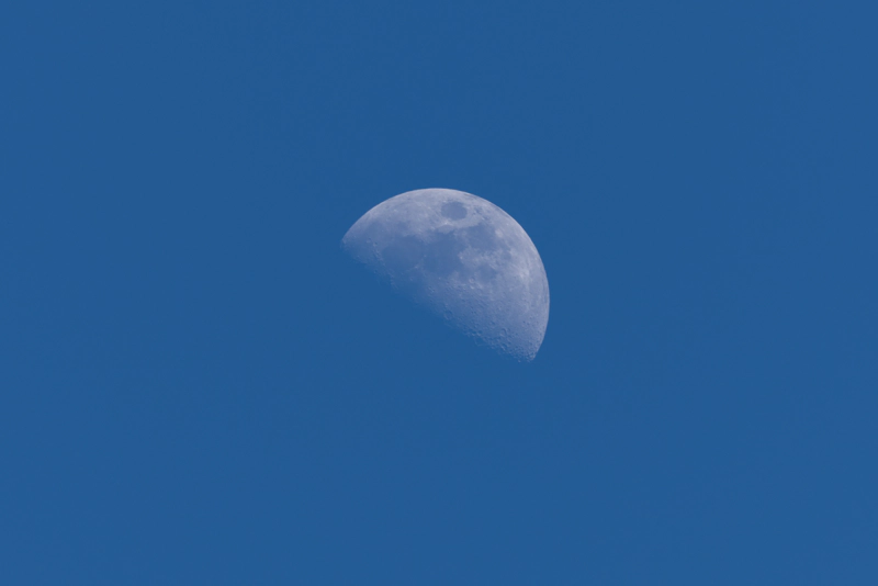 A half moon against a royal blue sky, this time with the lit side facing upwards.