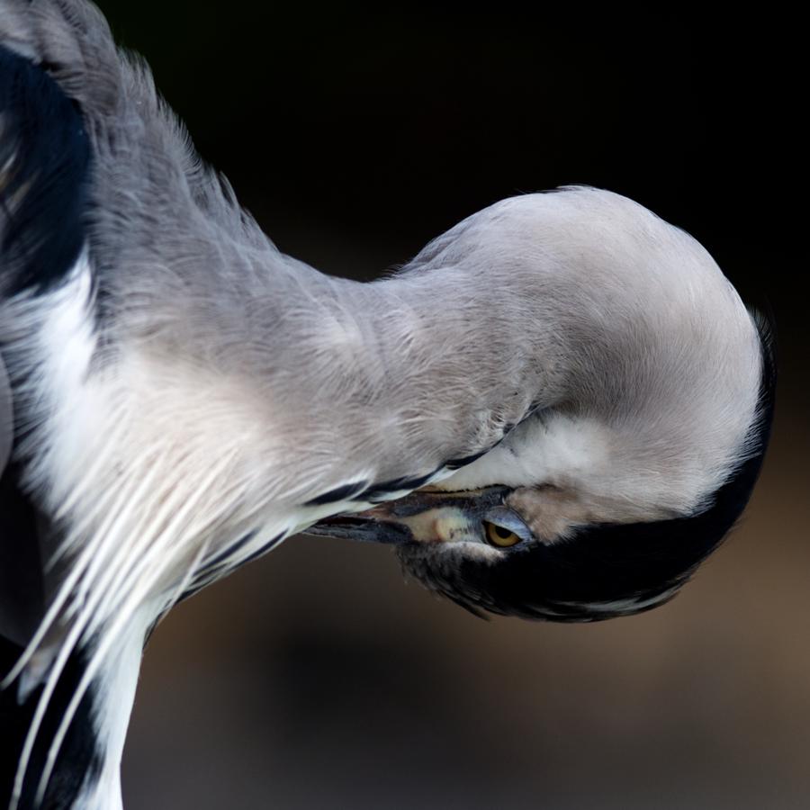 Ten of the Best: Photography